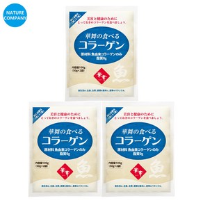 [최신유통기한 2026년 10월 1일] [하나마이] 피쉬 100% 먹는 콜라겐 대용량(100g) 3세트, 100g