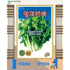 청치커리 씨앗 (1500립) 엔다이브 쌈용 겉절이용 특수야채 이태리원산지 종묘 종자 씨 영웅 KS, 1개