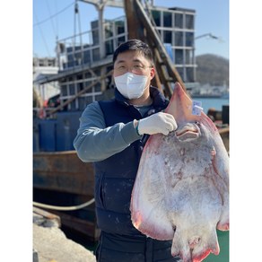 [영하2도 저온숙성] 신선보장 국산홍어 흑산도홍어 500g 1kg 홍어애 서비스 삭힌 삼합용, 흑산도홍어 1kg﻿(+홍어애), 약한삭힘, 1개