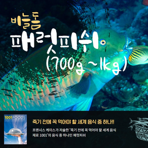 자연산 비늘돔 패럿(700-1kg) 1마리 죽기전 꼭 먹어야 할 세계 음식 손질냉동생선 패럿피시/페럿피쉬/흰살생선/손질돔/생선찜/생선튀김/앵무고기, 1개