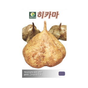 히카마 멕시코 감자 얌빈, 1개