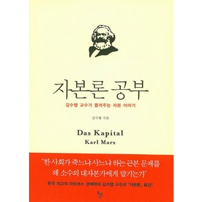 자본론 공부:김수행 교수가 들려주는 자본 이야기, 돌베개, 김수행