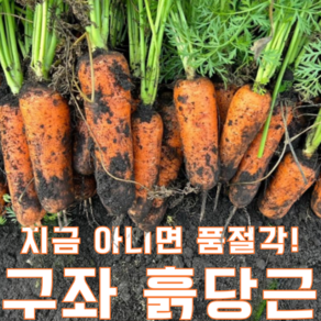 [수확당일발송] 햇당근 아삭하고 달달한 제주 구좌 당근 농부가 직접 포장하고 발송하는 농장 직송 제주 구좌 햇 흙당근, 1박스, 상/특 혼합 흙당근 3kg