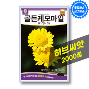 골든 캐모마일 씨앗 Chamomile 노랑 카모마일 종자 허브 씨앗 허브키우기 종자, 1개