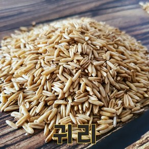 충북 청주 24년산 국산 귀리 500g 귀리쌀