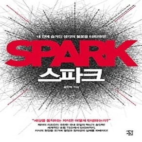 [개똥이네][중고-최상] 스파크 Spak