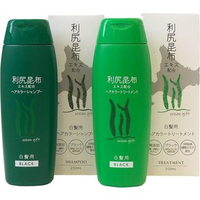 [일본 새치염색약 일본직구] 리시리 다시마 헤어 컬러 샴푸 트리트먼트 세트 250ml x 2병 (브라운), 블랙, 2개