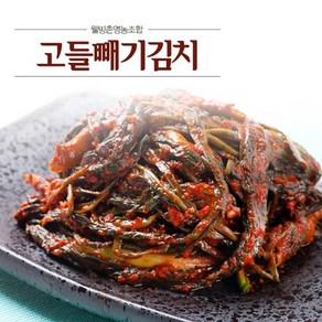 [KT알파쇼핑][웰빙촌] HACCP 인증 여수고들빼기1kg