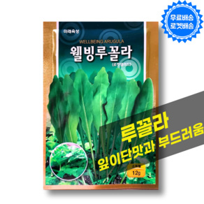 루꼴라 씨앗 12g 허브씨앗 루콜라 채소씨앗 루꼴라키우기, 1개