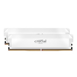 [마이크론] Cucial DDR5 PC5-51200 CL38 PRO Oveclocking 화이트 대원씨티에스 [32GB (16GB*2)] (6400), 2개