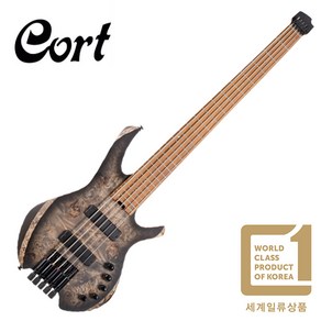 콜트 Cot Atisan Space 5 헤드리스 5현 베이스기타 (SDB), 내용참조, Cot - Atisan Space 5, *, 1개
