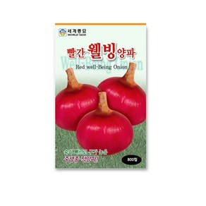 모칸도 세계종묘 빨강웰빙양파 800립