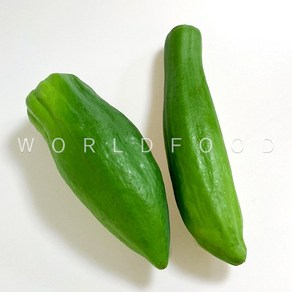 후레쉬 그린 파파야 500g+ 생파파야 쏨땀재료 papaya du du WORLDFOOD, 1개