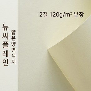 뉴씨플레인 종이문화 얇은 양면색지 120g 2절 낱장 1매 No.01 크림, 1장