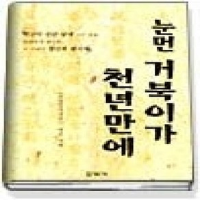 [개똥이네][중고-상] 눈먼 거북이가 천년만에