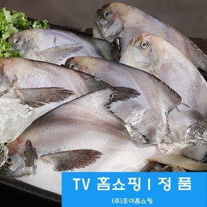 [조이 홈쇼핑] 마시따구 국내산 손질 병어, 1세트, 10마리(1.1kg 내외)