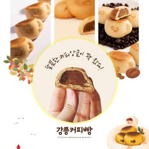 강릉 커피콩빵 강원도 특산물 커피빵 앙꼬 선물 6개입 top*172qn, 1개, 360g