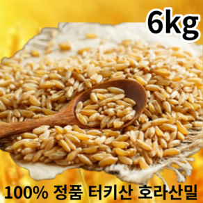 호라산밀 터키산 2kg 4kg 6kg 10kg 당뇨에좋은 슈퍼곡물 셀레늄 풍부한 당뇨 쌀