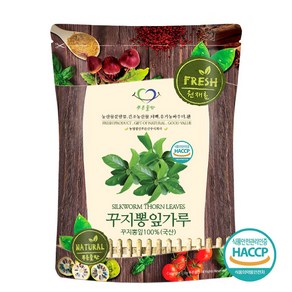 푸른들판 국내산 꾸지뽕 잎 분말 가루 100% HACCP 인증 국산 꾸찌뽕 꾸찌뽕 구찌뽕 나무 잎 차, 500g, 1개