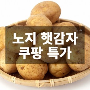 나만의건강by설리마켓 산지직송 국내산 노지 햇감자 5kg 10kg, 1박스, 10kg(특특대형)