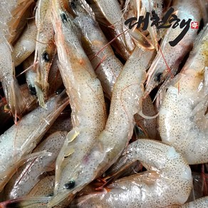 대천해 자연산 중하(백새우)300g, 300g, 1개