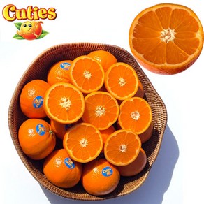 [2+1] 프리미엄 고당도 미국산 큐티스 필즈 썬키스트 만다린 귤 감귤, 1개, 만다린 귤 1kg(2개 사면 2.5kg 발송)