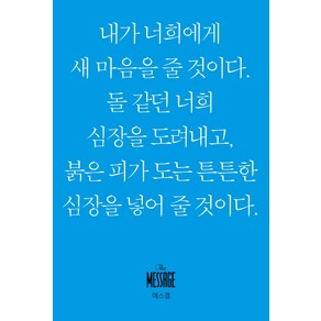 메시지 에스겔(미니북)