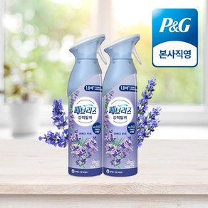 페브리즈 강력탈취 공기탈취제 룸스프레이 라벤더 부케 본품 165g 2개, 라벤더 부케 2개[F007x2]
