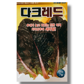 적치마상추 씨앗 종자 다크레드7g