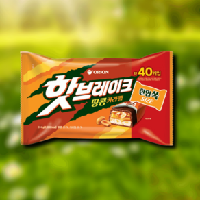 핫브레이크 땅콩카라멜 한입쏙 40P 574g, 1개