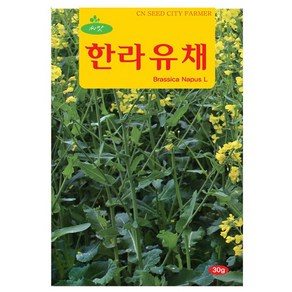 한라 유채 씨앗 유채씨 30g, 1개