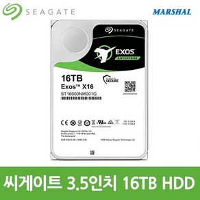 씨게이트 3.5인치 하드디스크 16TB 7200RPM 256MB HDD, ST16000NM001G