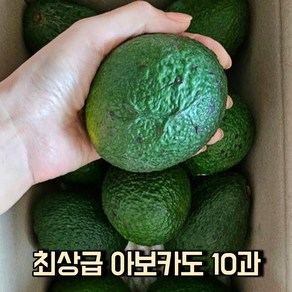 (최상급보장) 멕시코산 아보카도 10과 아보카도2kg 아보카도중과 아보카도대과 멕시코산 최상급 과일아보카도 avocado