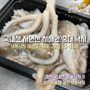 [중매인직송] 100% 국내산 자연산 살아있을때 얼린 급속냉동 활낙지 최상급 중대 낙지 1kg 7~9미. 2kg 15~16미 1박스, 살아있을때 얼린 최상급 중대 낙지 1kg 7~9미