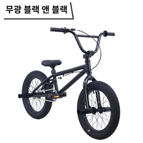 BMX 자전거 스턴트 퍼포먼스 바이크 액션 16인치, C.올블랙