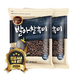 현대농산 국산 발아찰흑미 1.4kg (700gx2봉)