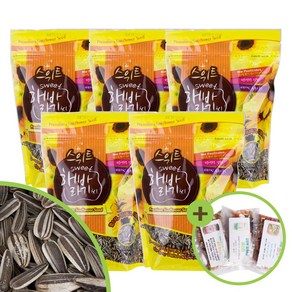 대용량 스위트 해바라기씨 500gx5개 새간식 햄스터, 500g, 5개