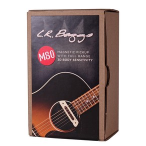 통기타 픽업 L.R.Baggs M80