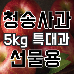 청송사과선물세트 5kg 특대과 24년 햇사과 부사