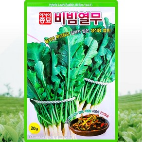 아시아종묘 비빔열무 씨앗 20g 생식용 열무씨 종자