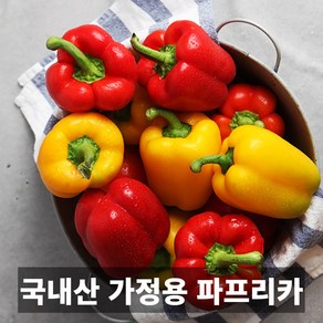 금메달농수산 국내산 프리미엄 가정용 혼합 파프리카, 1개, 1kg