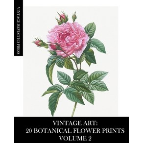 (영문도서) Vintage At: 20 Botanical Flowe Pints Volume 2: Ephemea fo Faming Collage and Decoupage Papeback, Blub, English, 9781006816703