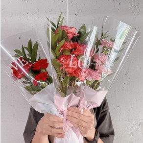 카네이션 미니 꽃다발 어버이날 꽃선물 생화 온라인꽃집, 카네이션만 5송이(색상 랜덤), 1개