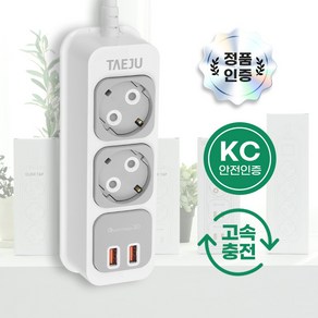 태주 부엉이 고속충전 USB 클릭 멀티탭 2구 QCM-UQ2S2-1, 1.5m, 1개