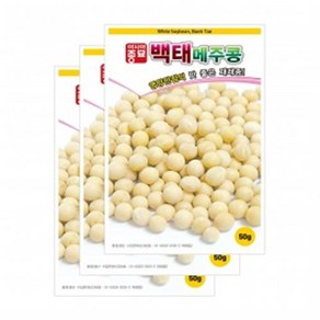 아시아종묘 씨앗 콩 백태 50g 3ea 메주콩, 3개