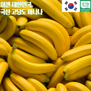 국산 바나나 1.5kg 선물용 국내산 그린 유기농 시세 요리 우유 제철 과일 잼 청 산청