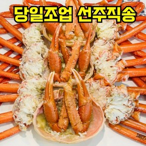 [선주직송] 연지홍게 2kg 5kg 포항 구룡포 다리 수율 80%이상 당일조업 산지직송