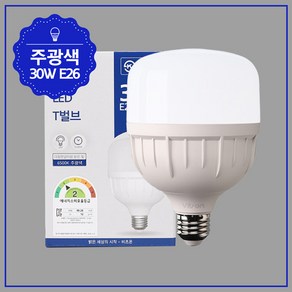 T벌브30W LED, 1개, 전구색