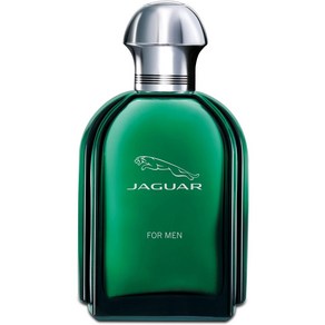 일본직발송 6. JAGUAR(ジャガー) 재규어 재규어 포멘 EDT 100ML B001SEWBG8, 1개