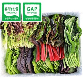 [EEE] 국내산 친환경 유기농 GAP 인증 모듬 쌈채소